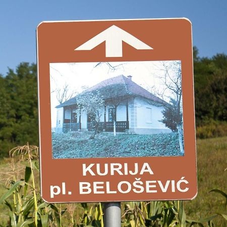 Hrašćina Kurija Inn מראה חיצוני תמונה